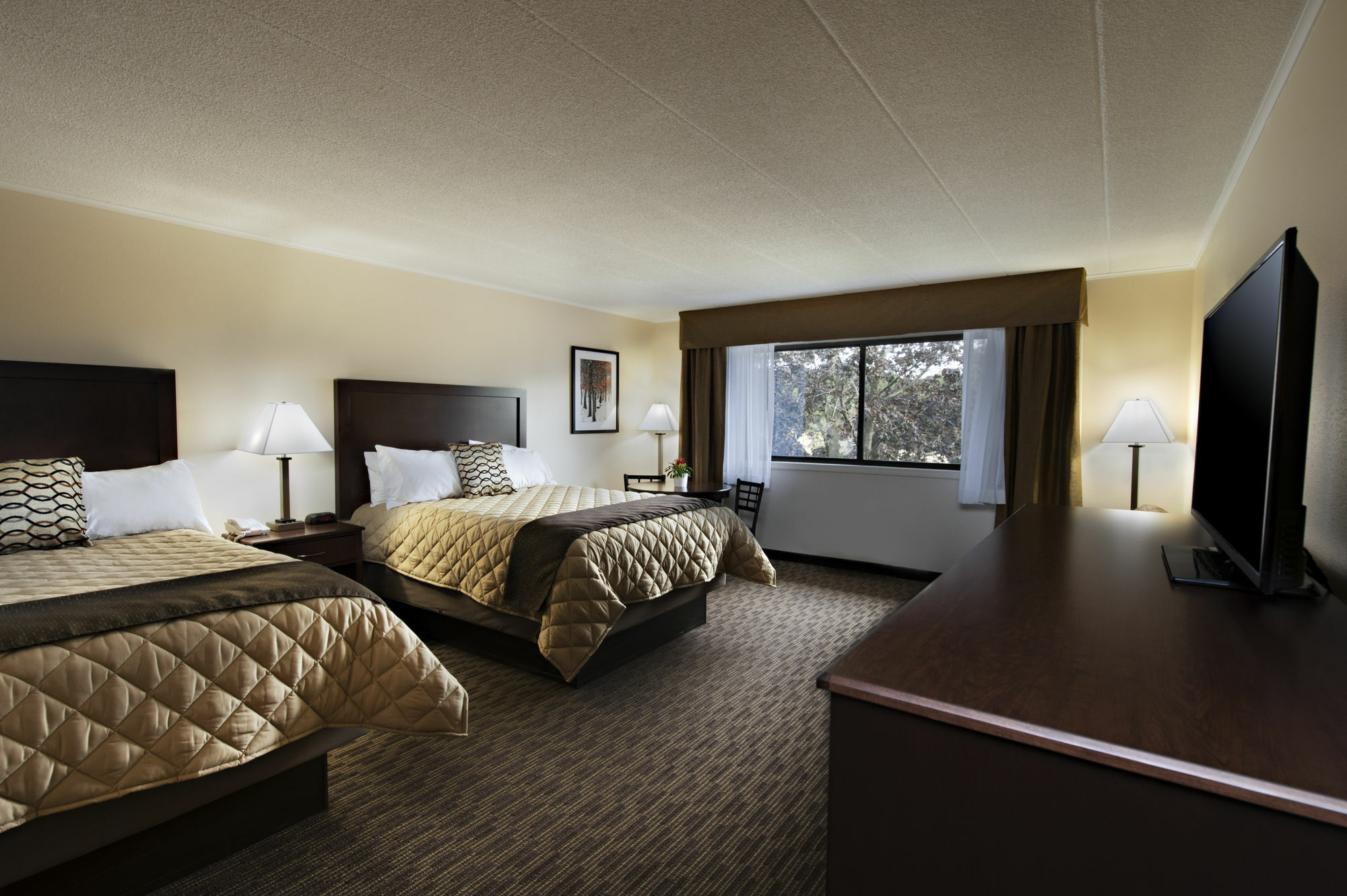 Chestnut Mountain Resort Galena Bagian luar foto